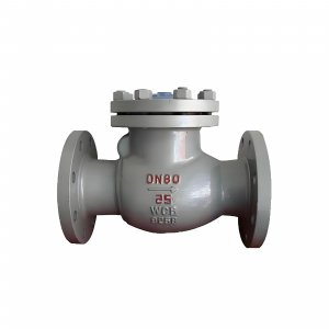 DN50 PN25 介質：甲胺，溫度：80℃止回閥